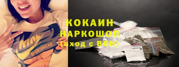 apvp Алексин